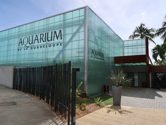 Aquarium de Guadeloupe