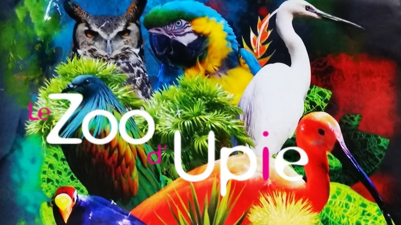 Zoo Upie - Le jardin aux oiseaux
